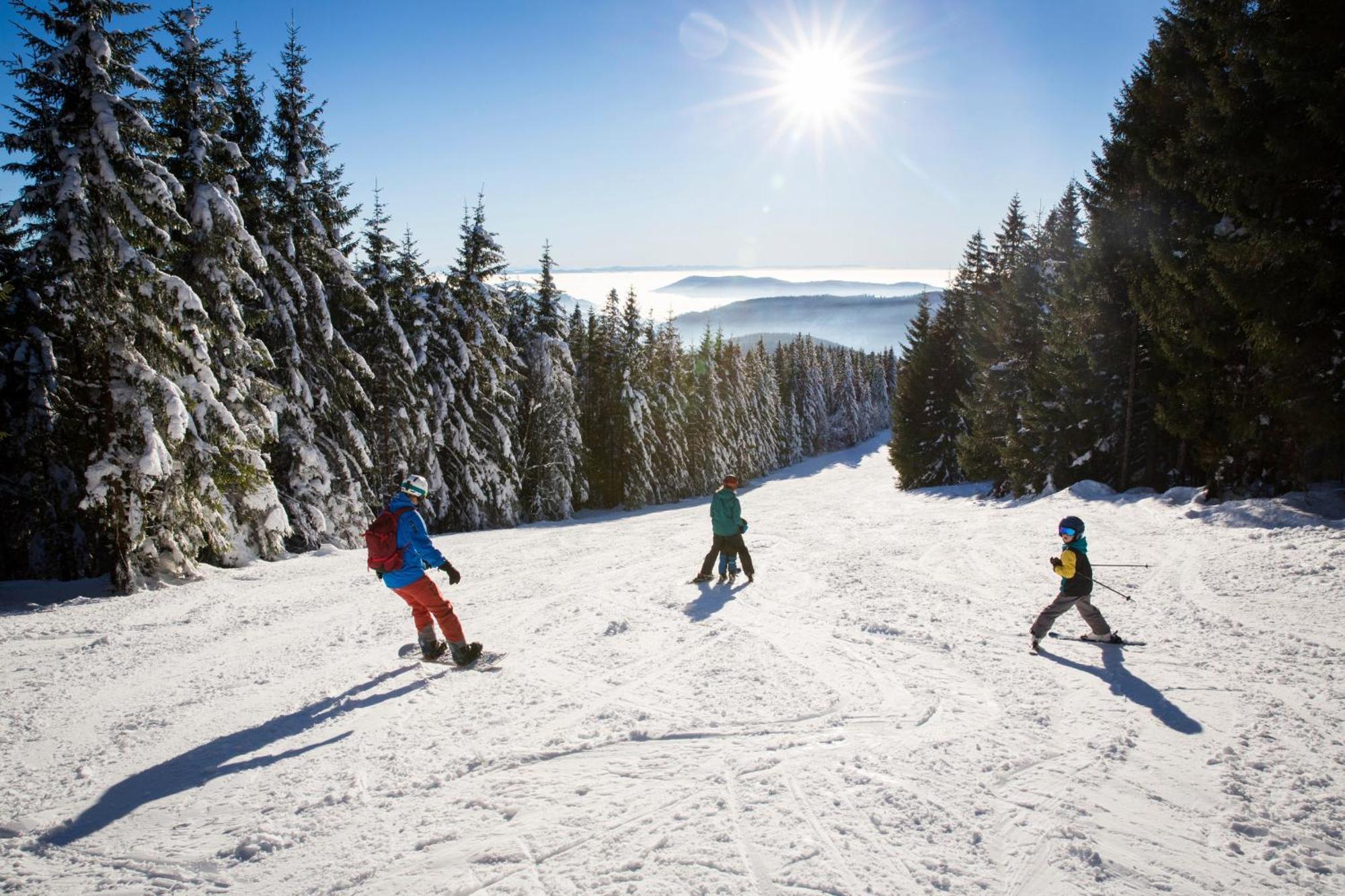 Haus Wiesenquelle - Fewo 14 "Timeout", Feldberg Rinken Buitenkant foto